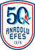 Anadolu Efes Istanbul