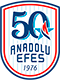 Anadolu Efes Istanbul
